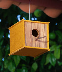 Oak Burel Birdhouse