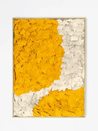 Ambar Forest Panel 