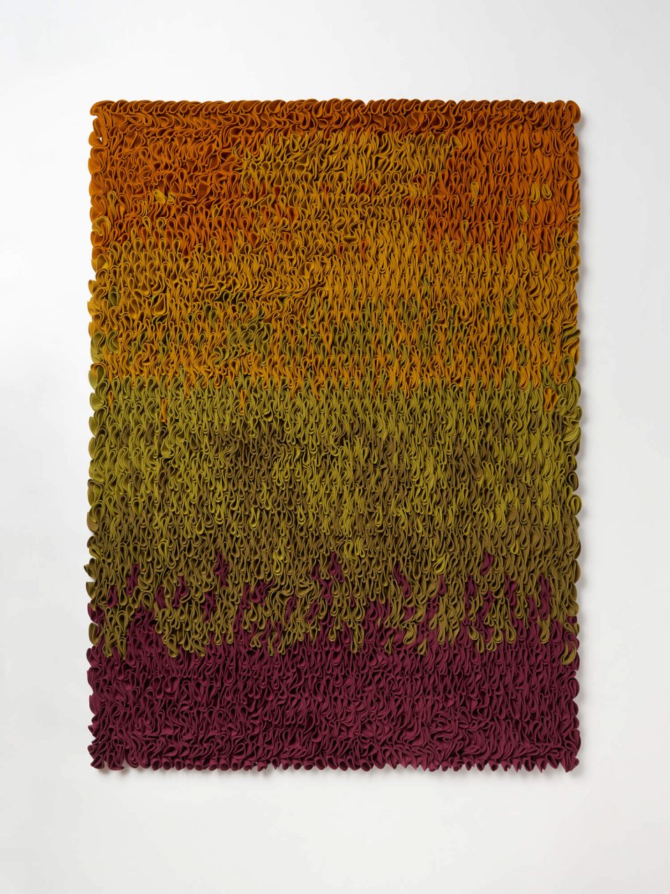 burel-folhos-panel