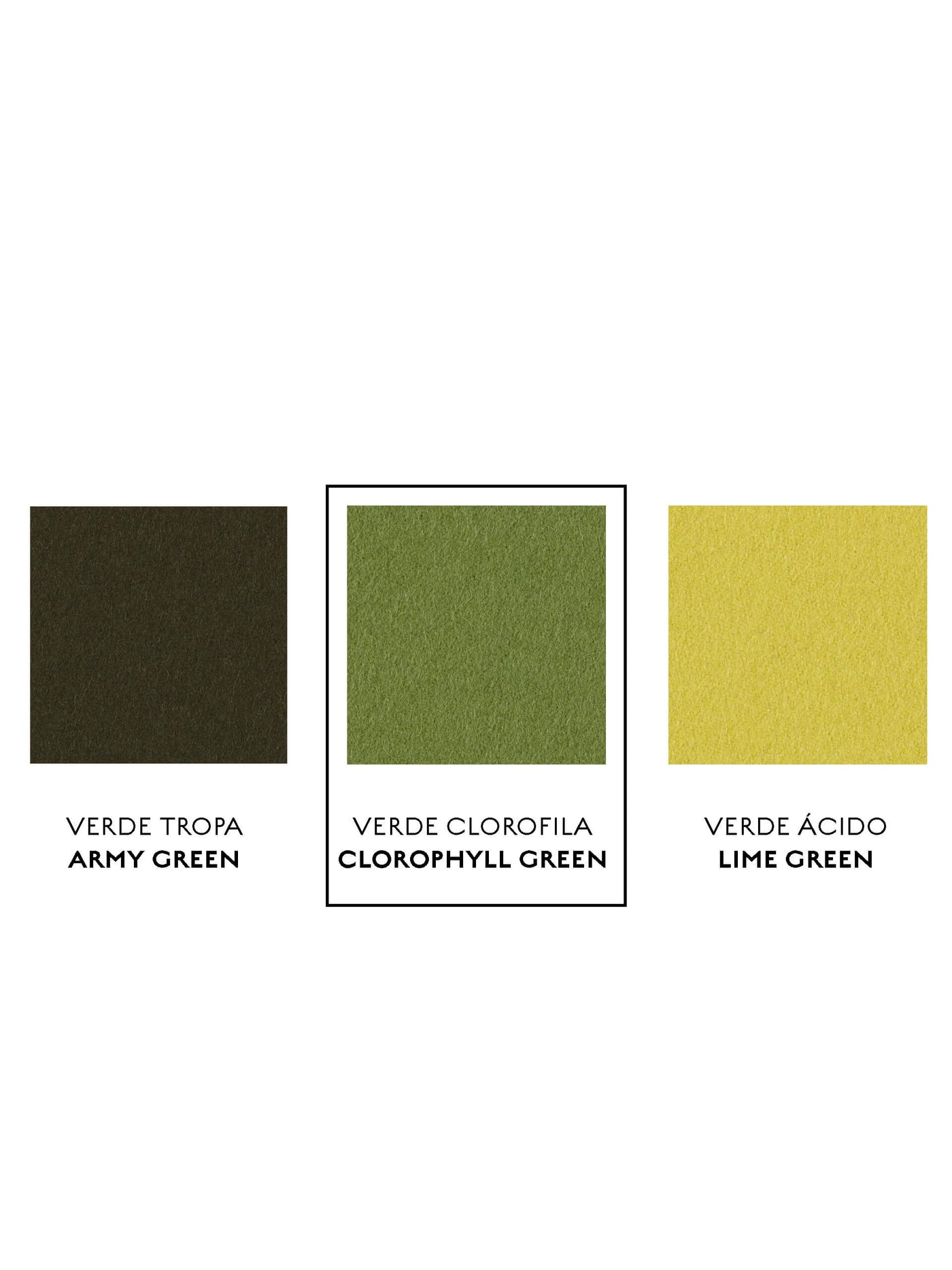 burel-clorophyll-green