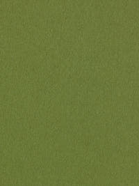 burel-wool-fabric-clorophyll-green-made-in-portugal