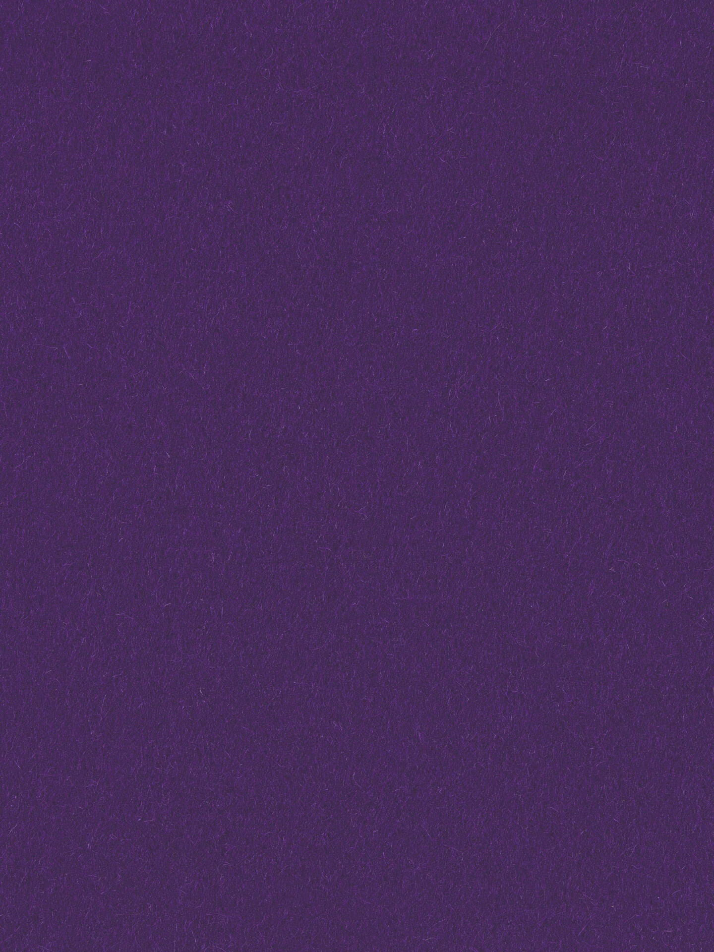 Violeta